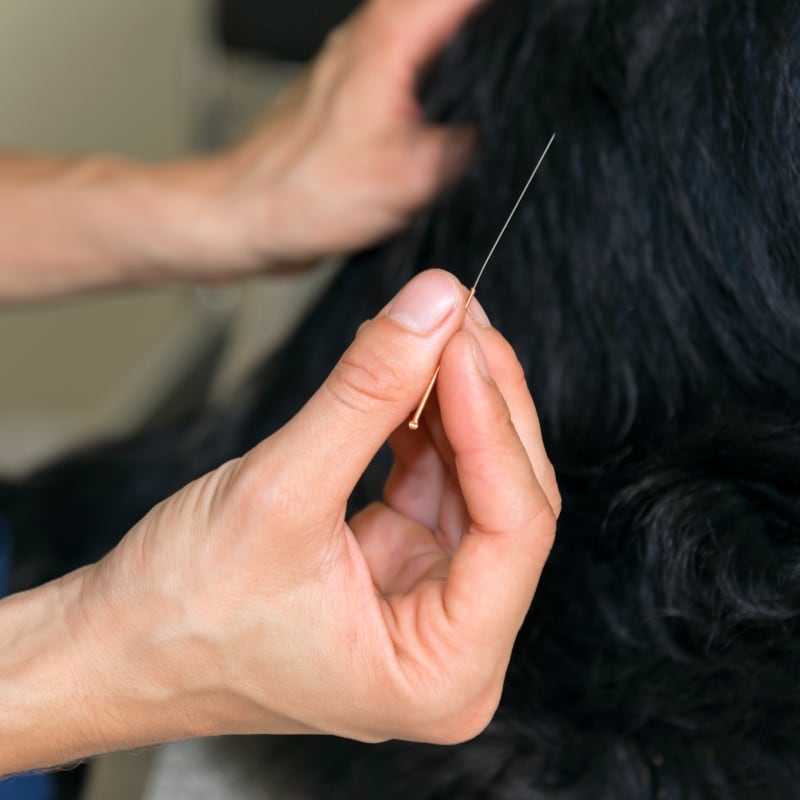 Acupuncture, White Settlement