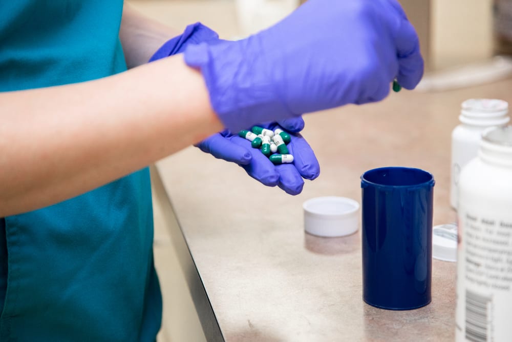 Veterinary Diagnostic Lab at Frontier Veterinary Hospital