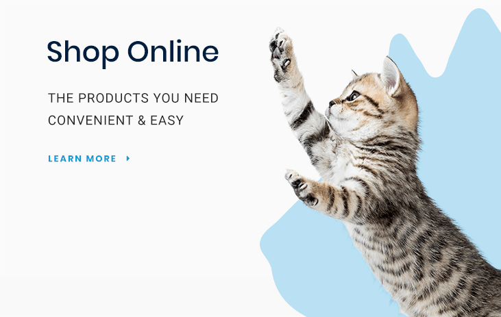Shop for Pet Products Online in White Settlement